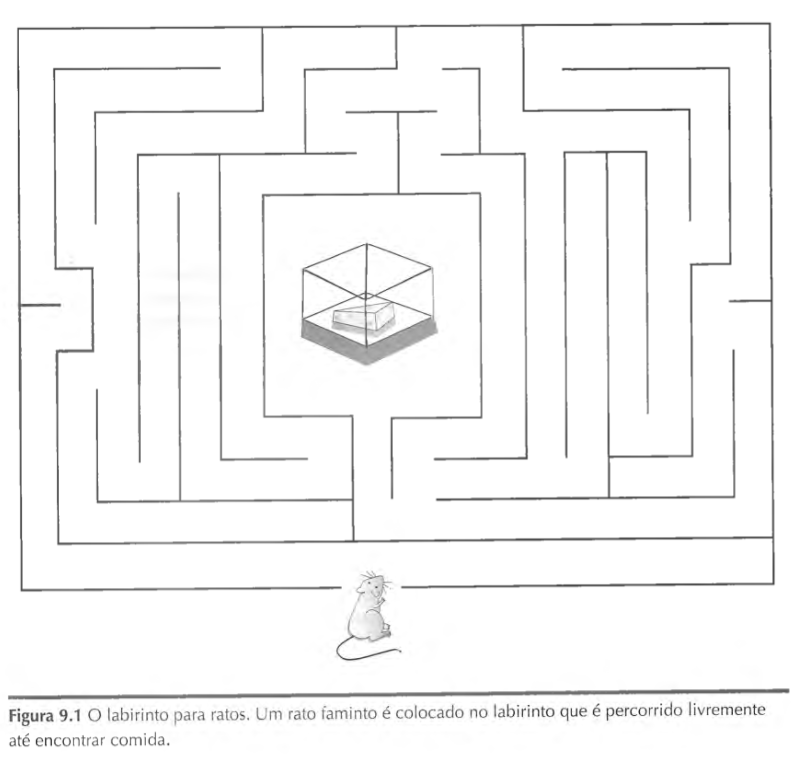 Desenho Animado Labirinto Ou Labirinto Jogo Direção Diagrama Verme Vetor  PNG , Direção, Diagrama, Minhoca Imagem PNG e Vetor Para Download Gratuito